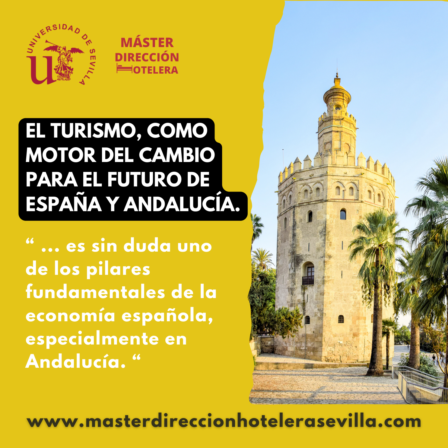 Master Direccion Hotelera 2024-2025